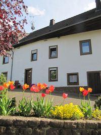 IMG_6063 voorkant huis smal met tulpen